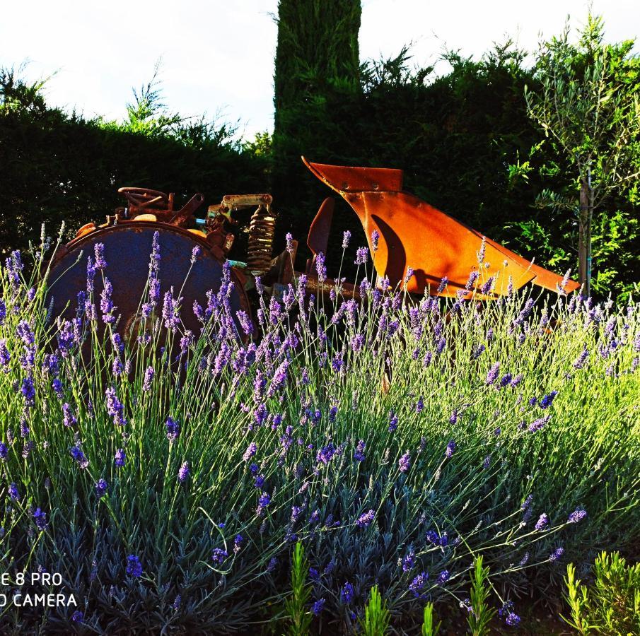 Rocca Degli Olivi Bed & Breakfast San Gimignano Exterior photo