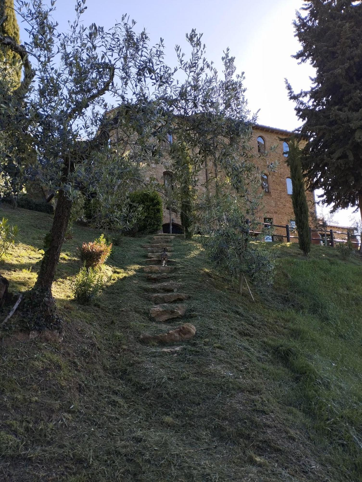 Rocca Degli Olivi Bed & Breakfast San Gimignano Exterior photo