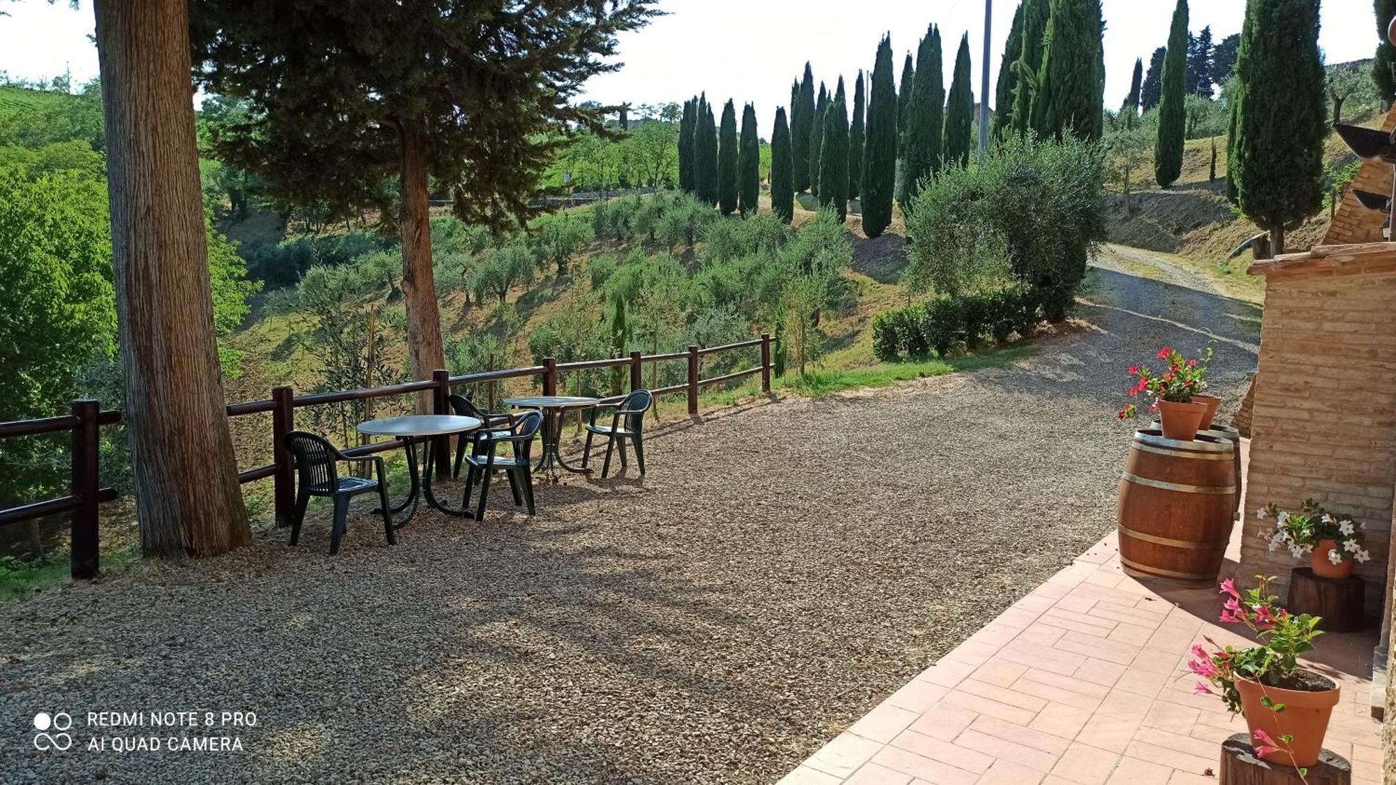 Rocca Degli Olivi Bed & Breakfast San Gimignano Room photo