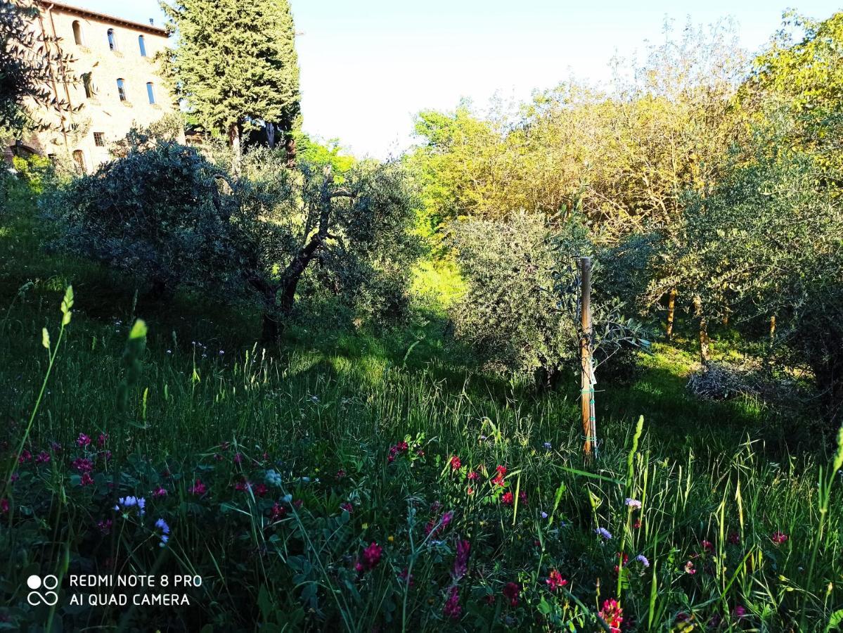 Rocca Degli Olivi Bed & Breakfast San Gimignano Exterior photo