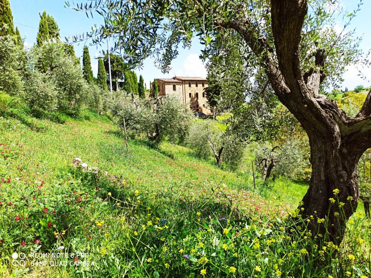 Rocca Degli Olivi Bed & Breakfast San Gimignano Exterior photo